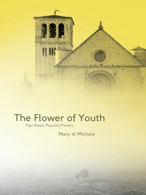 cover image of The Flower of Youth